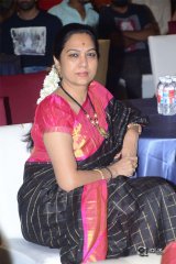 Ammammagarillu Movie Successmeet